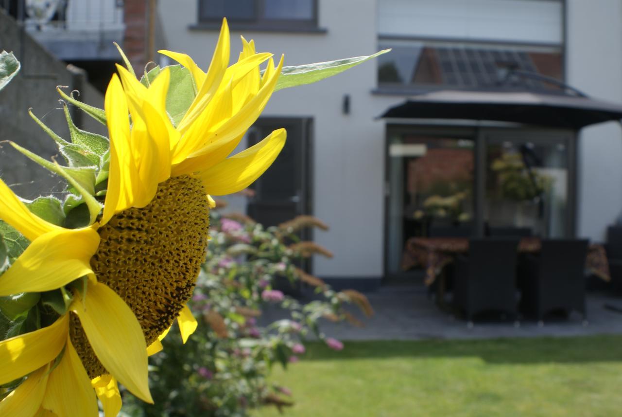 B&B Klinkaart Rumst Exteriör bild